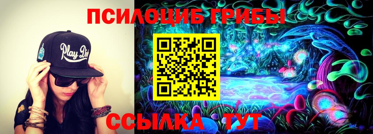 как найти закладки  Галлюциногенные грибы Cubensis  Вход с VPN  Кушва 