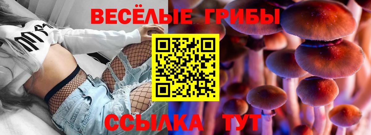 Псилоцибиновые грибы Psilocybe Кушва